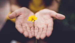 Làm Lành Vết Thương Lòng: Hành Trình Tìm Lại Sự Bình Yên