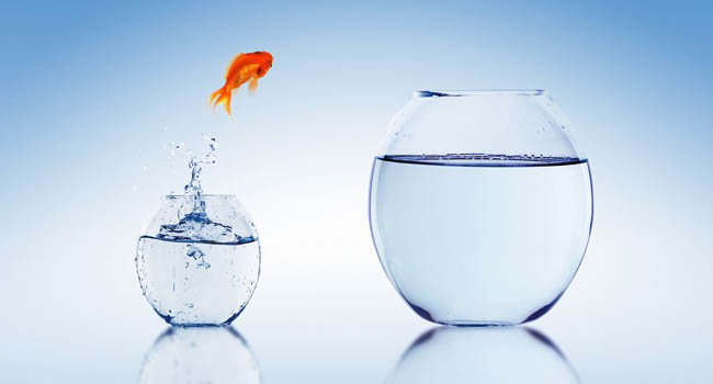 Chấp nhận sự thay đổi để tìm thấy ý nghĩa mới trong từng giai đoạn cuộc sống