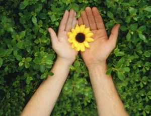 Giá Trị Cuộc Sống: Khám Phá Những Điều Quan Trọng Giúp Bạn Tìm Ra Mục Đích Sống